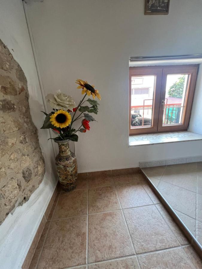 Apartmán Kuca Za Odmor Matea Poreč Exteriér fotografie